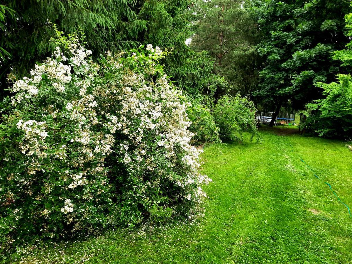 Kosiedlisko Villa Kraśnik Eksteriør bilde