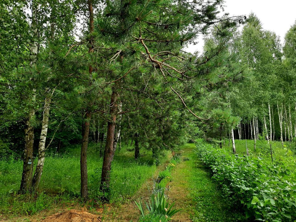 Kosiedlisko Villa Kraśnik Eksteriør bilde
